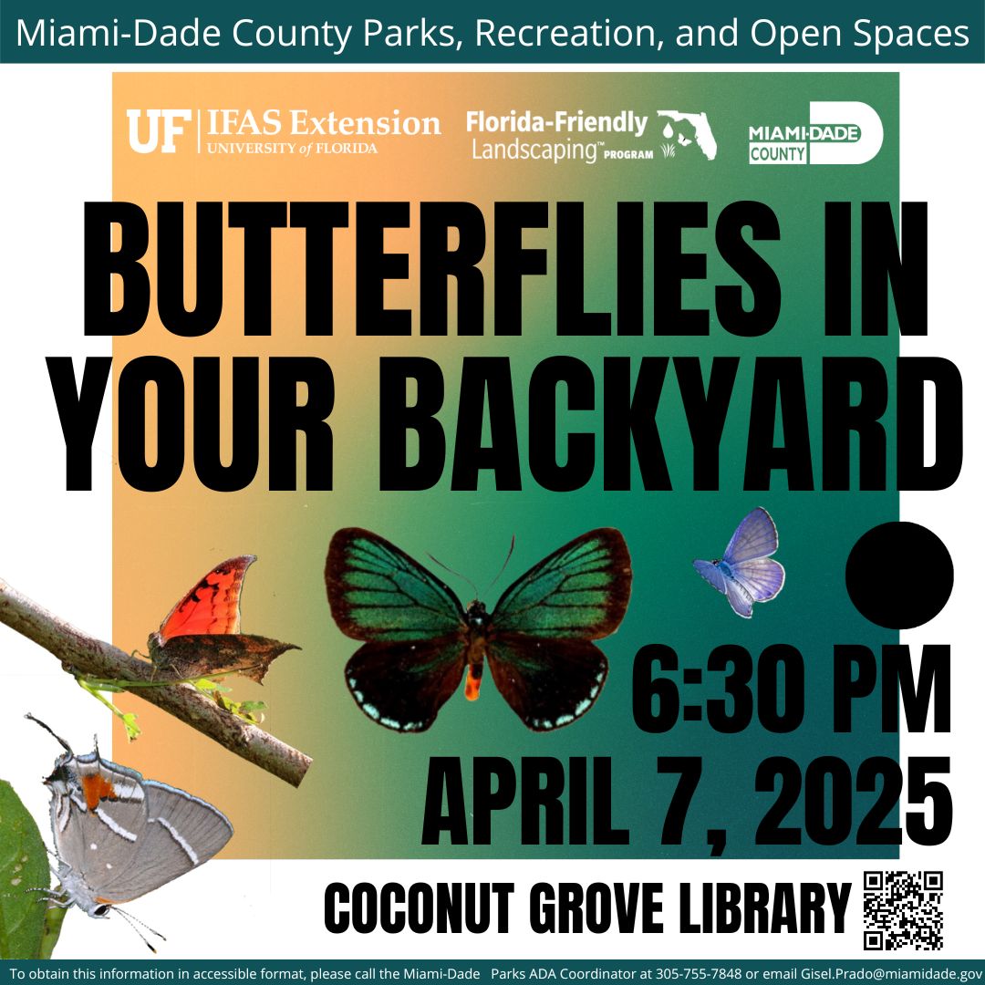Butterflies at Coconut Grove Library Ad